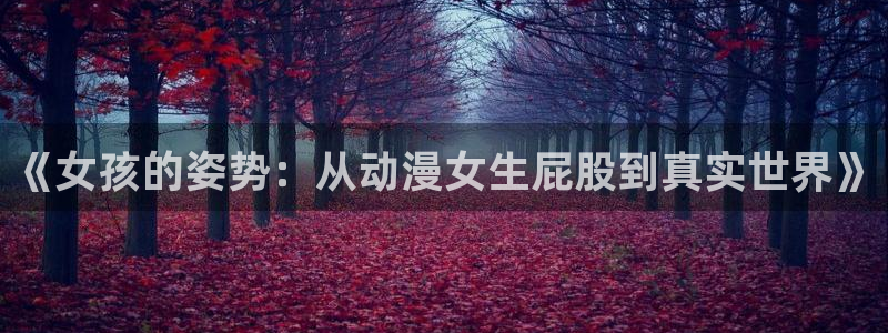 囧次元软件