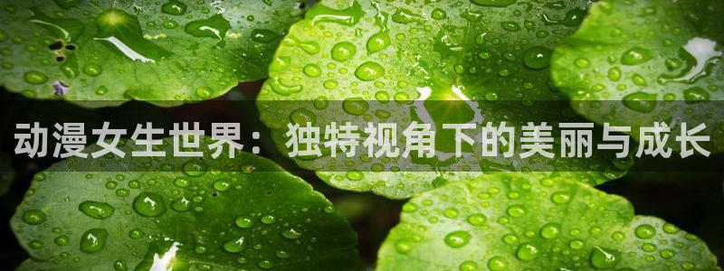 囧次元怎么登录
