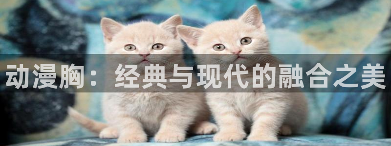 囧次元动漫